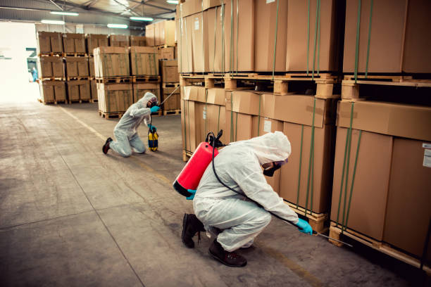 Reliable Roseburg North, OR Pest Control Solutions