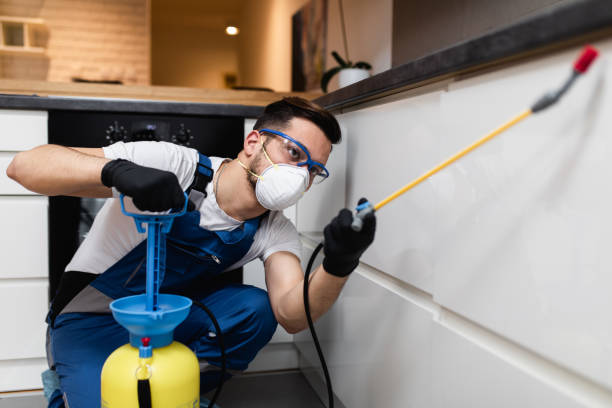 Best Rat Extermination Near Me  in Roseburg Nth, OR