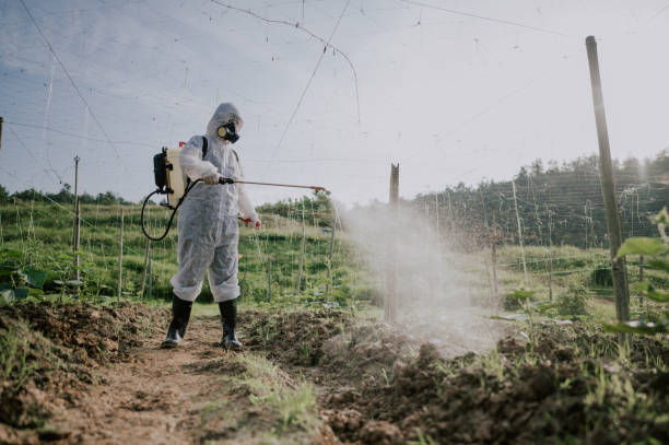 Pest Control for Restaurants in Roseburg North, OR