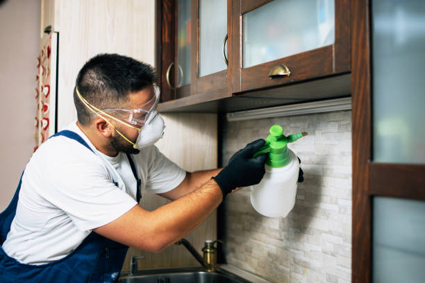 Best Exterminator Services  in Roseburg Nth, OR