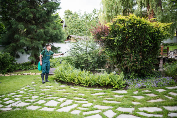Best Emergency Pest Control  in Roseburg Nth, OR