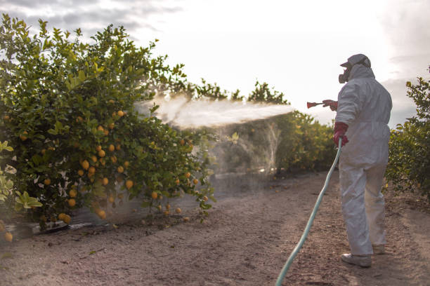 Best Bird Control  in Roseburg Nth, OR