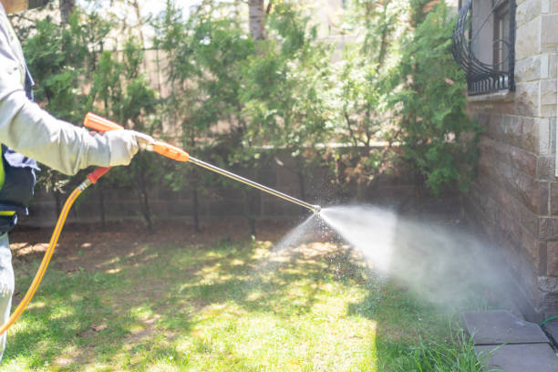 Best Pest Control for Restaurants  in Roseburg Nth, OR