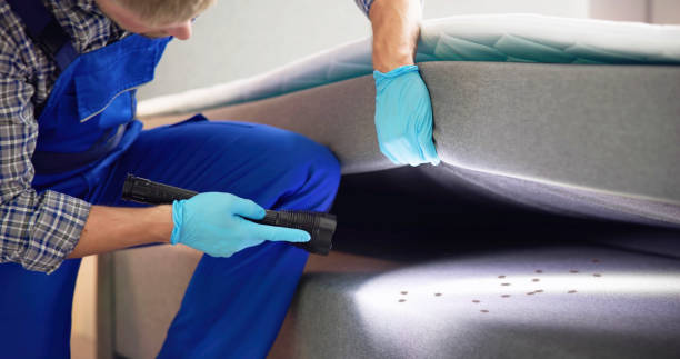 Reliable Roseburg North, OR Pest Control Solutions