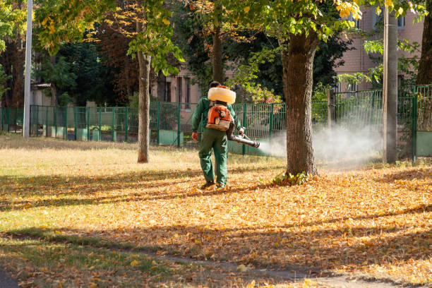 Pest Prevention Services in Roseburg North, OR