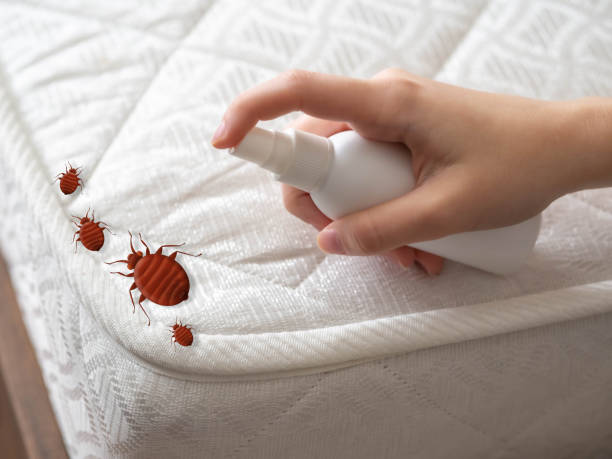 Best Mosquito Control Services  in Roseburg Nth, OR