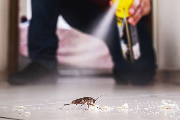 Best Affordable Pest Control Services  in Roseburg Nth, OR